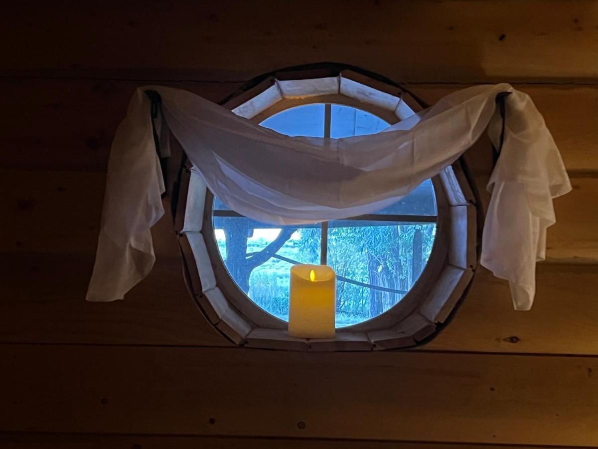 The Gratitude Homestay Alamosa Eksteriør billede