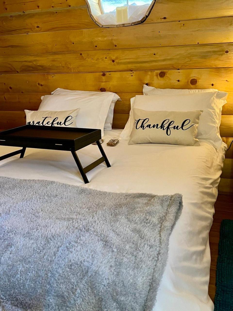 The Gratitude Homestay Alamosa Eksteriør billede