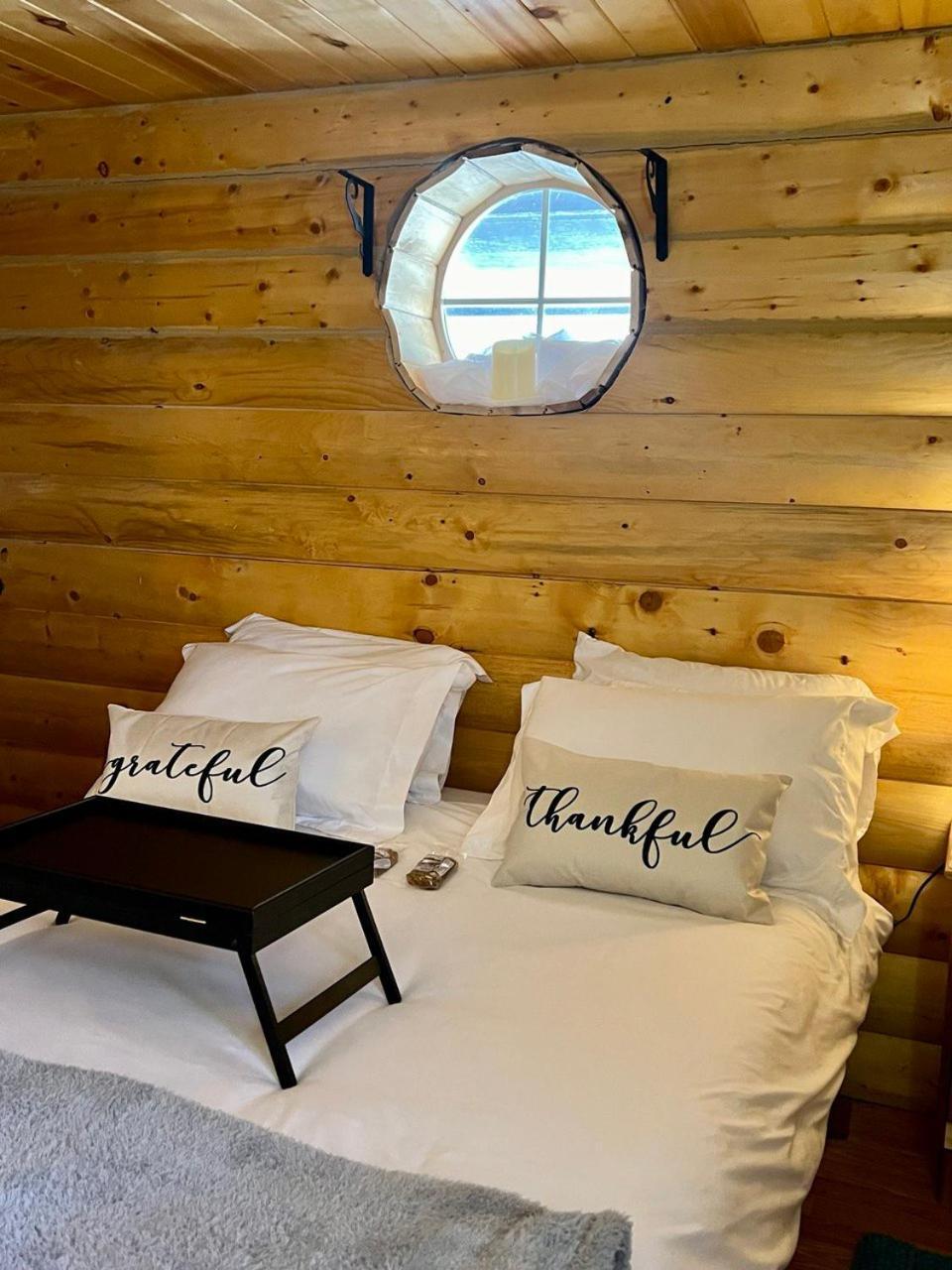 The Gratitude Homestay Alamosa Eksteriør billede